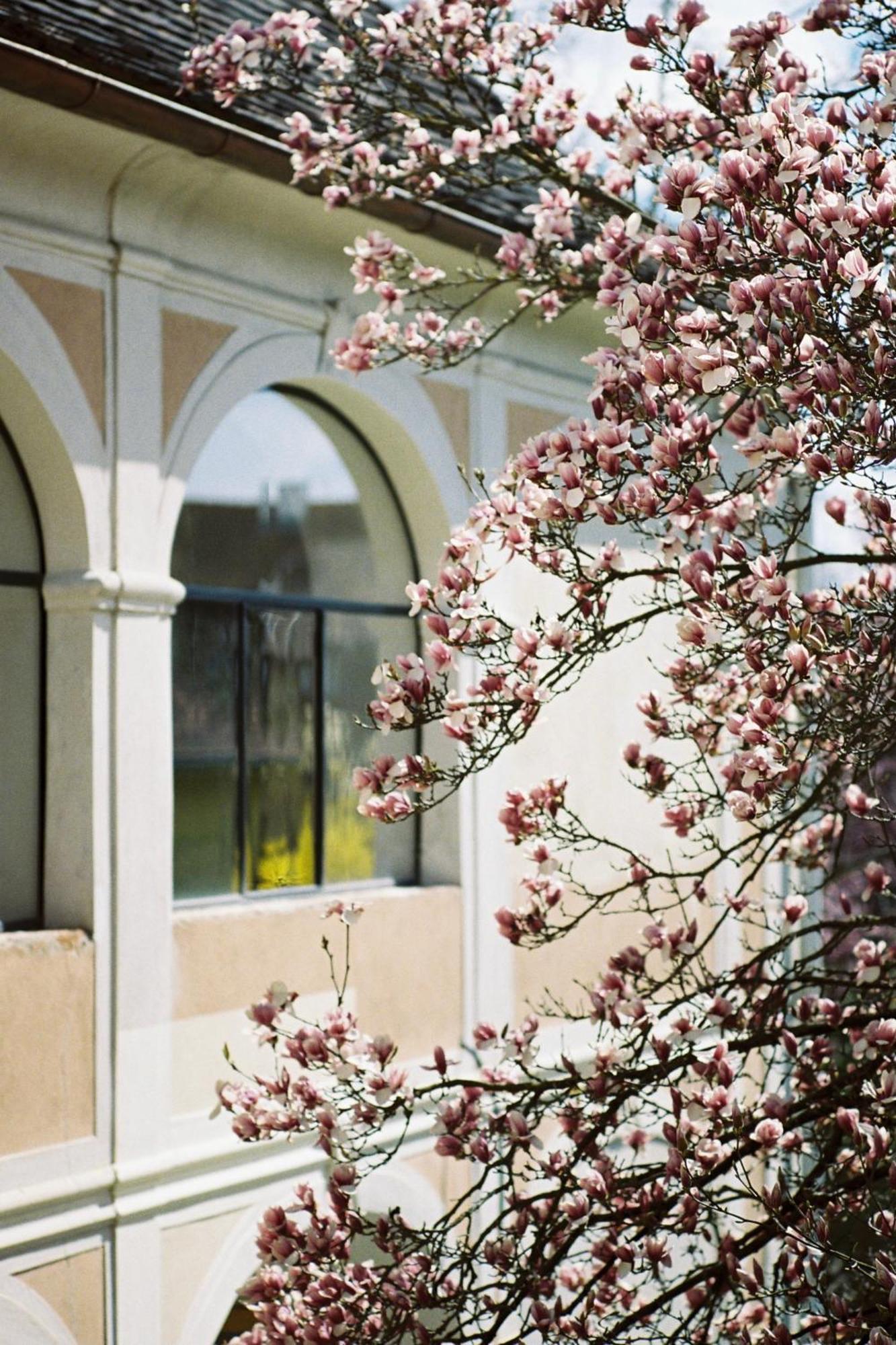 Der Pfarrhof Hotel Hartberg Exterior photo